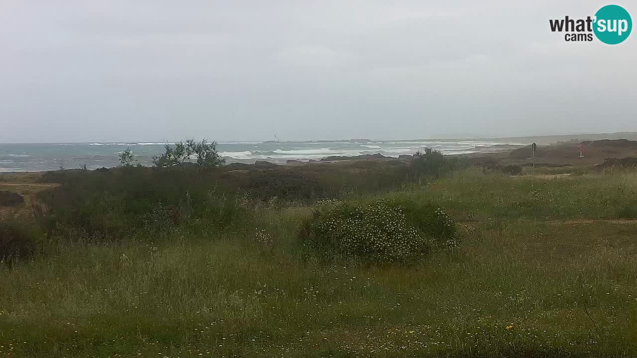 Plaža Mari Ermi | Is Arutas – Oristano