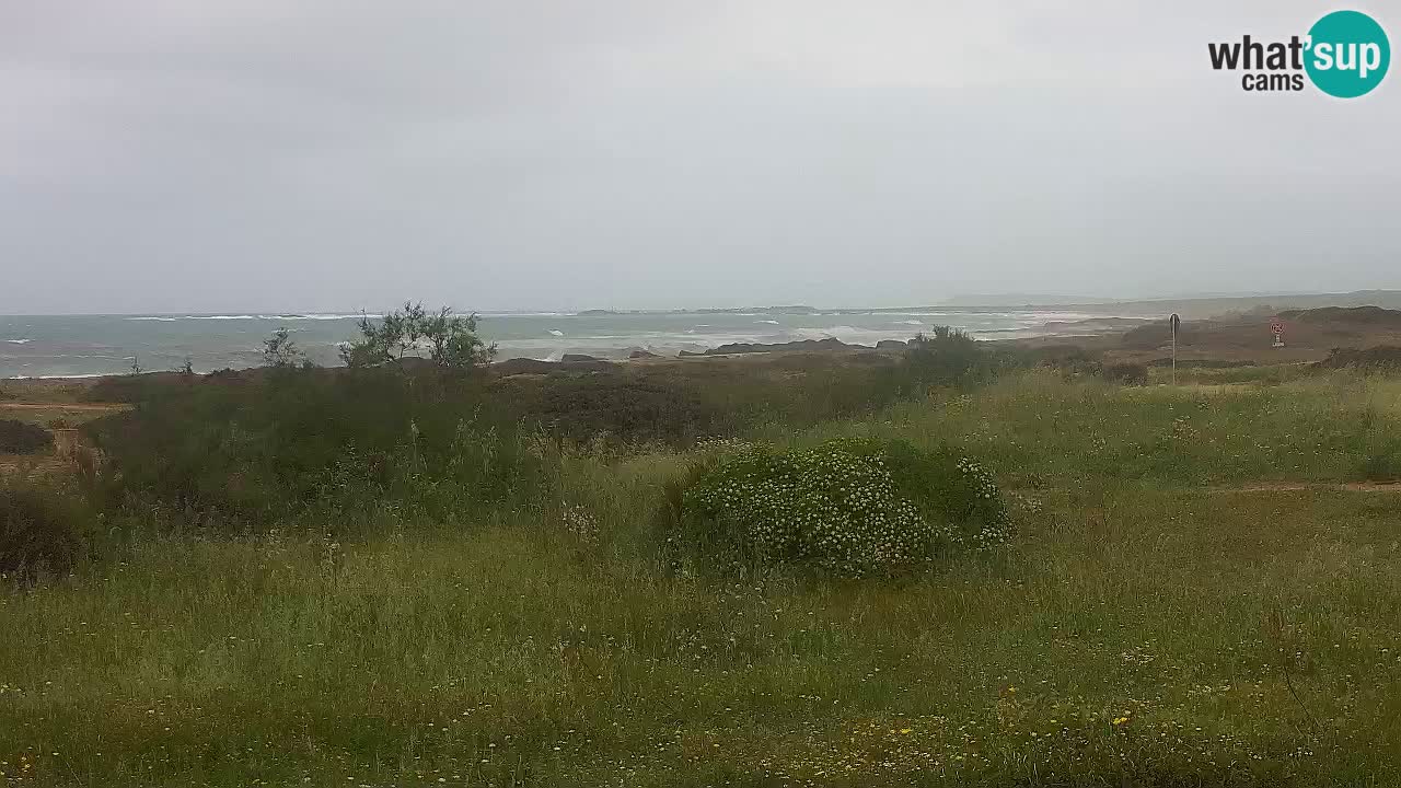 Plaža Mari Ermi | Is Arutas – Oristano