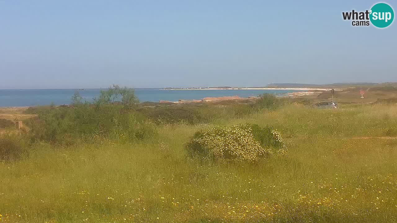 Plaža Mari Ermi | Is Arutas – Oristano