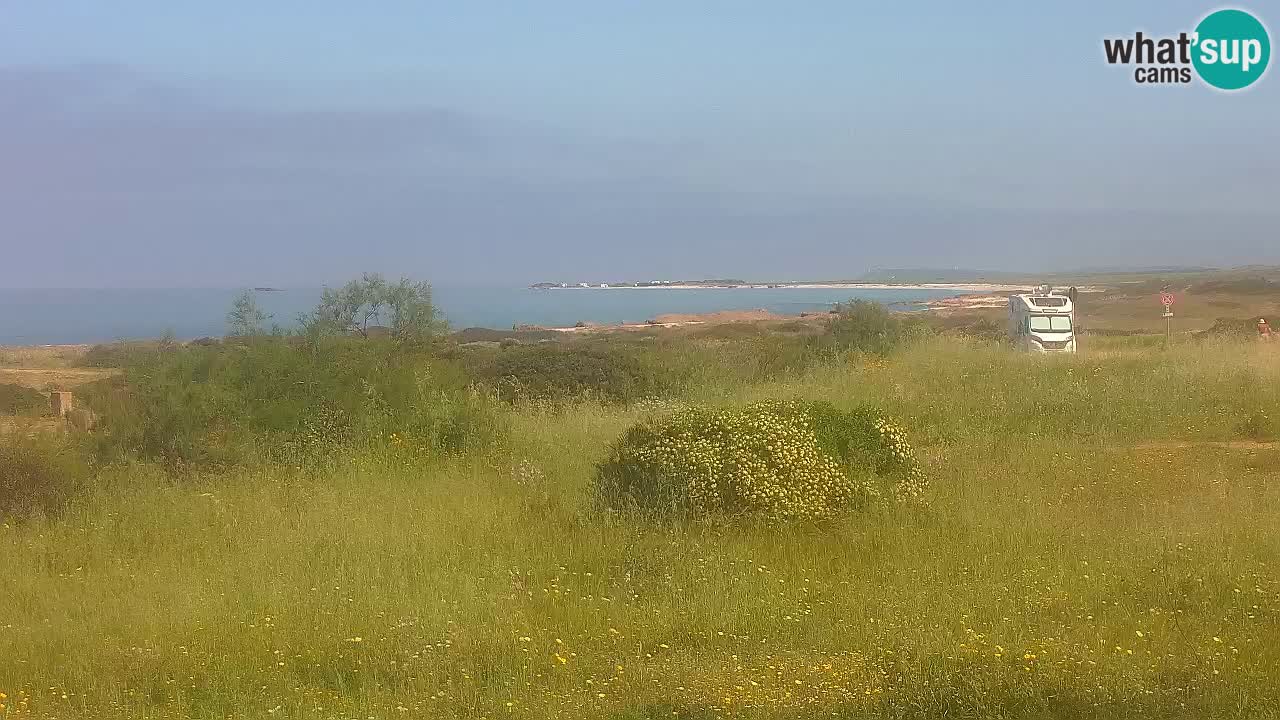 Playa Mari Ermi | Is Arutas – Oristano