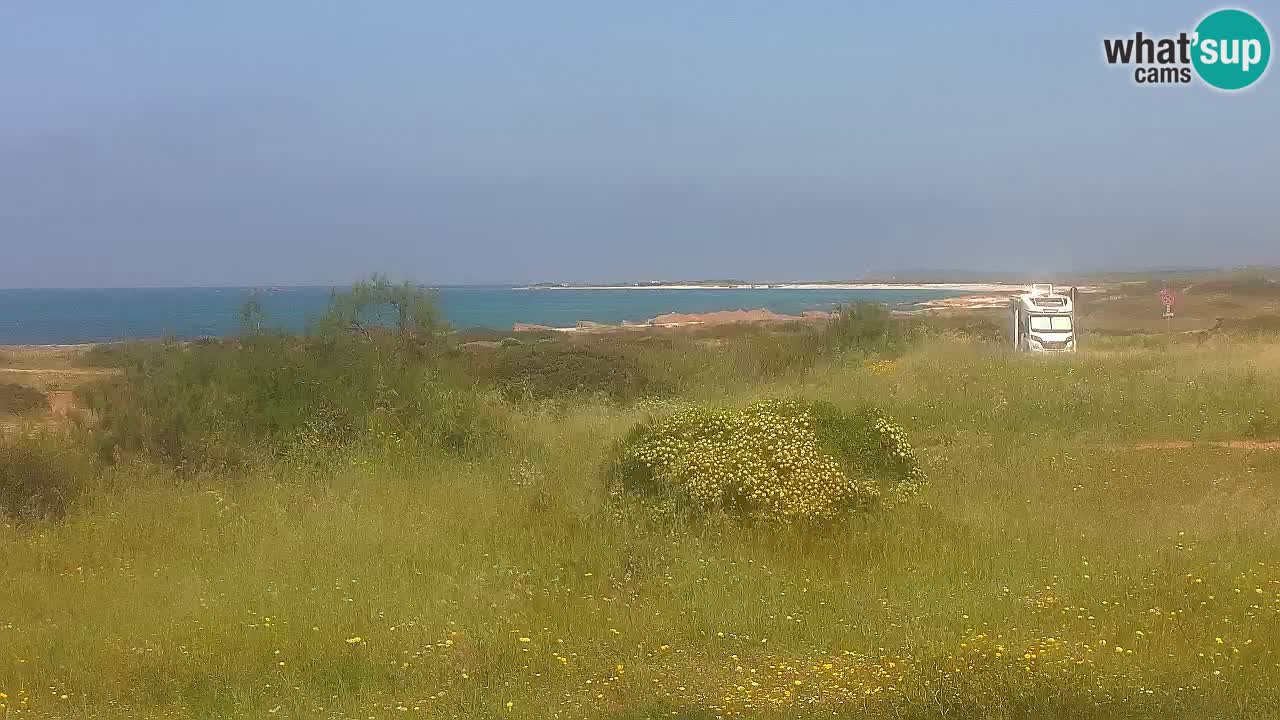 Spiaggia Mari Ermi | Is Arutas – Oristano