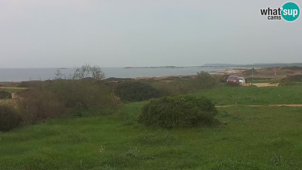 Plaža Mari Ermi | Is Arutas – Oristano