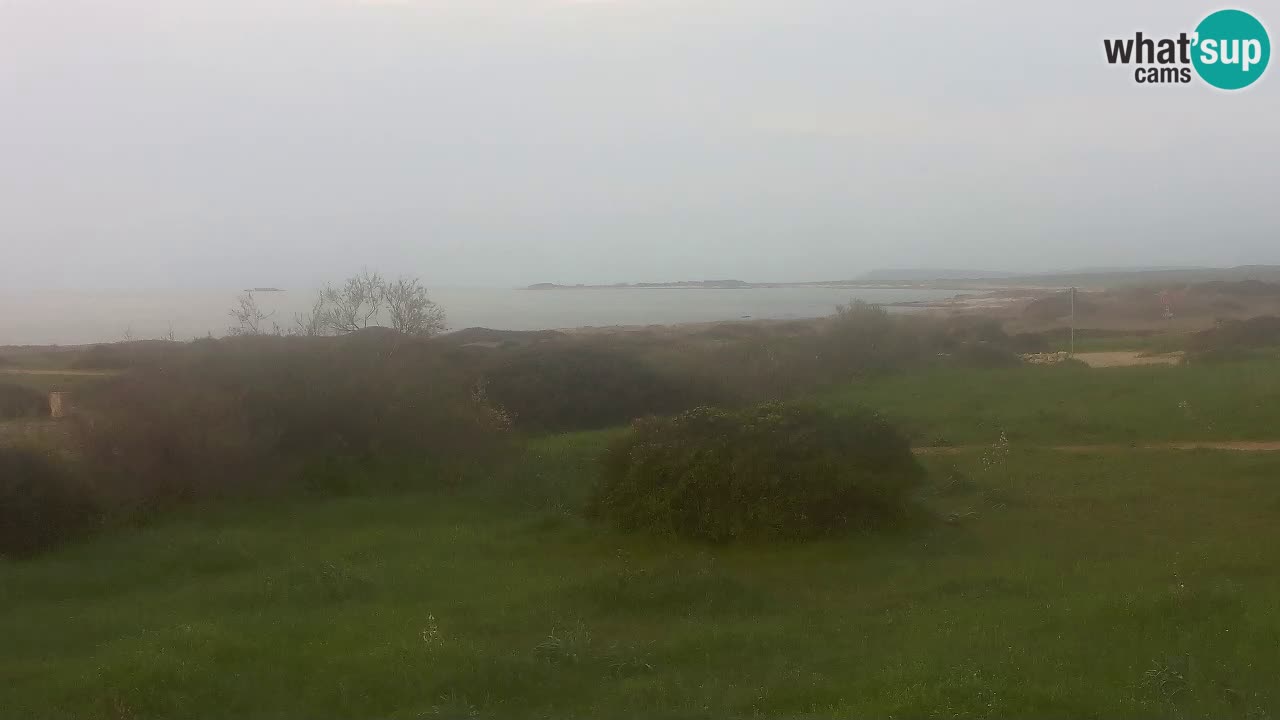 Plaža Mari Ermi | Is Arutas – Oristano