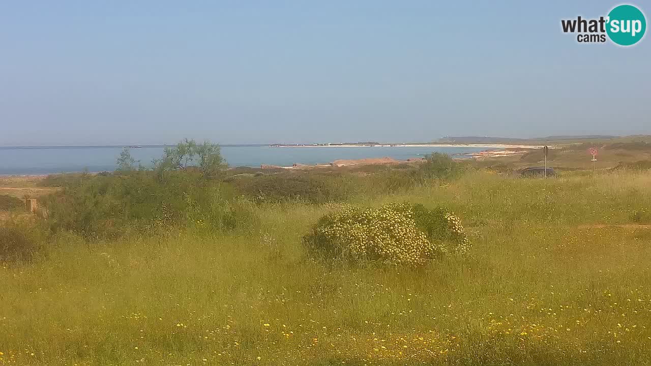 Plaža Mari Ermi | Is Arutas – Oristano