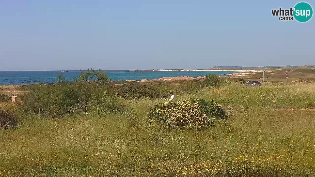 Plaža Mari Ermi | Is Arutas – Oristano
