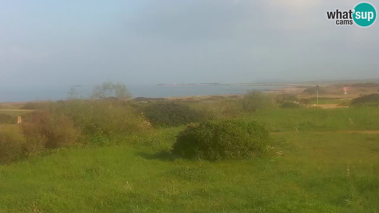 Playa Mari Ermi | Is Arutas – Oristano