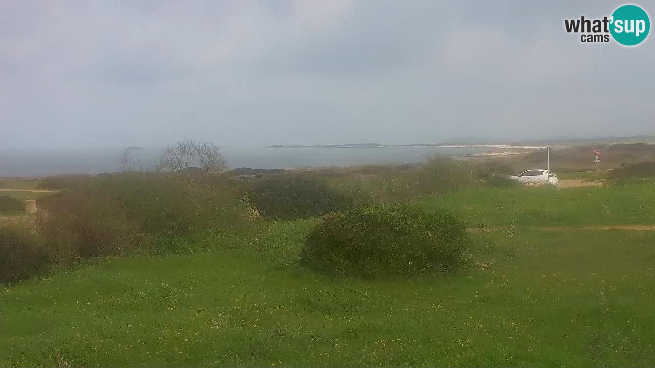 Playa Mari Ermi | Is Arutas – Oristano