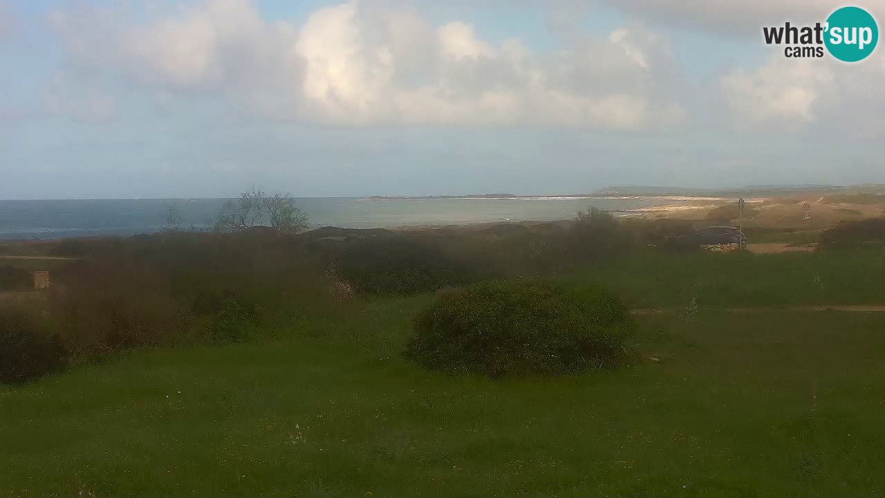 Playa Mari Ermi | Is Arutas – Oristano