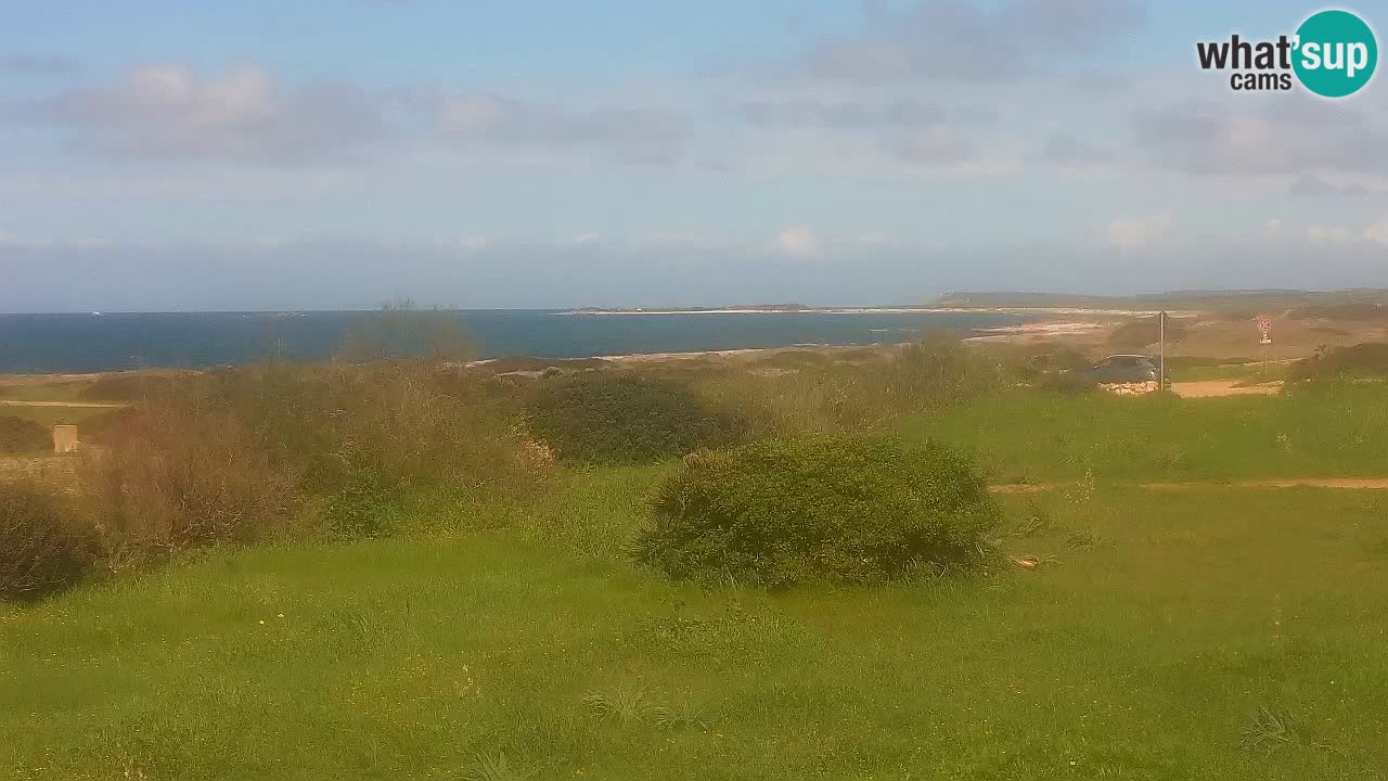 Mari Ermi beach | Is Arutas – Oristano