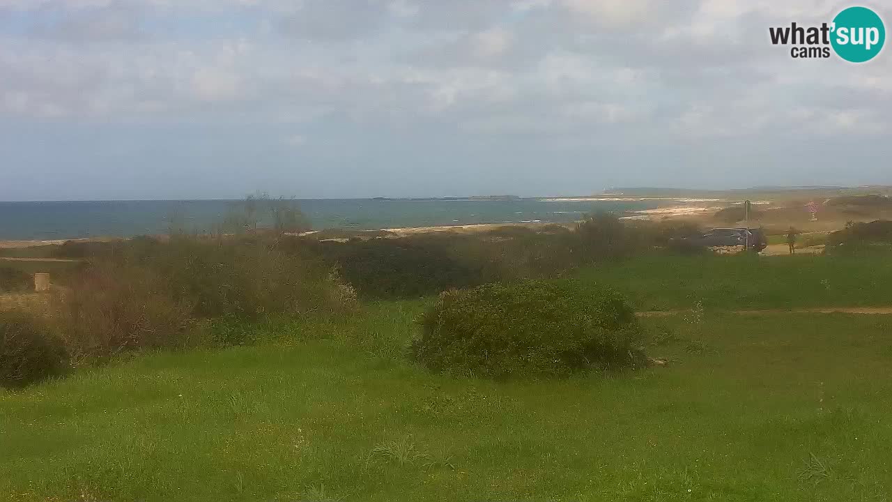 Plage Mari Ermi | Is Arutas – Oristano