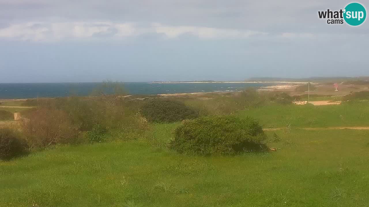 Mari Ermi Strand | Is Arutas – Oristano