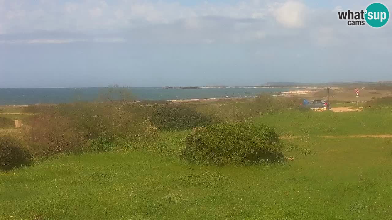 Mari Ermi Strand | Is Arutas – Oristano