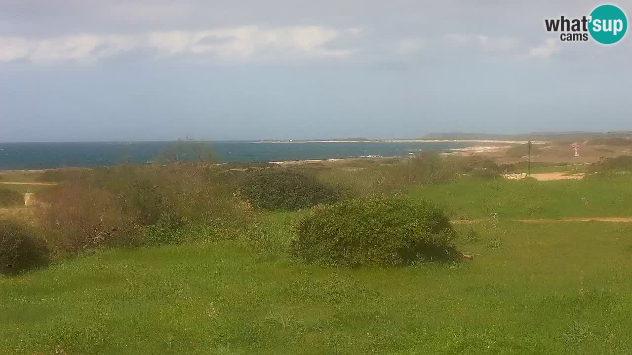 Plaža Mari Ermi | Is Arutas – Oristano