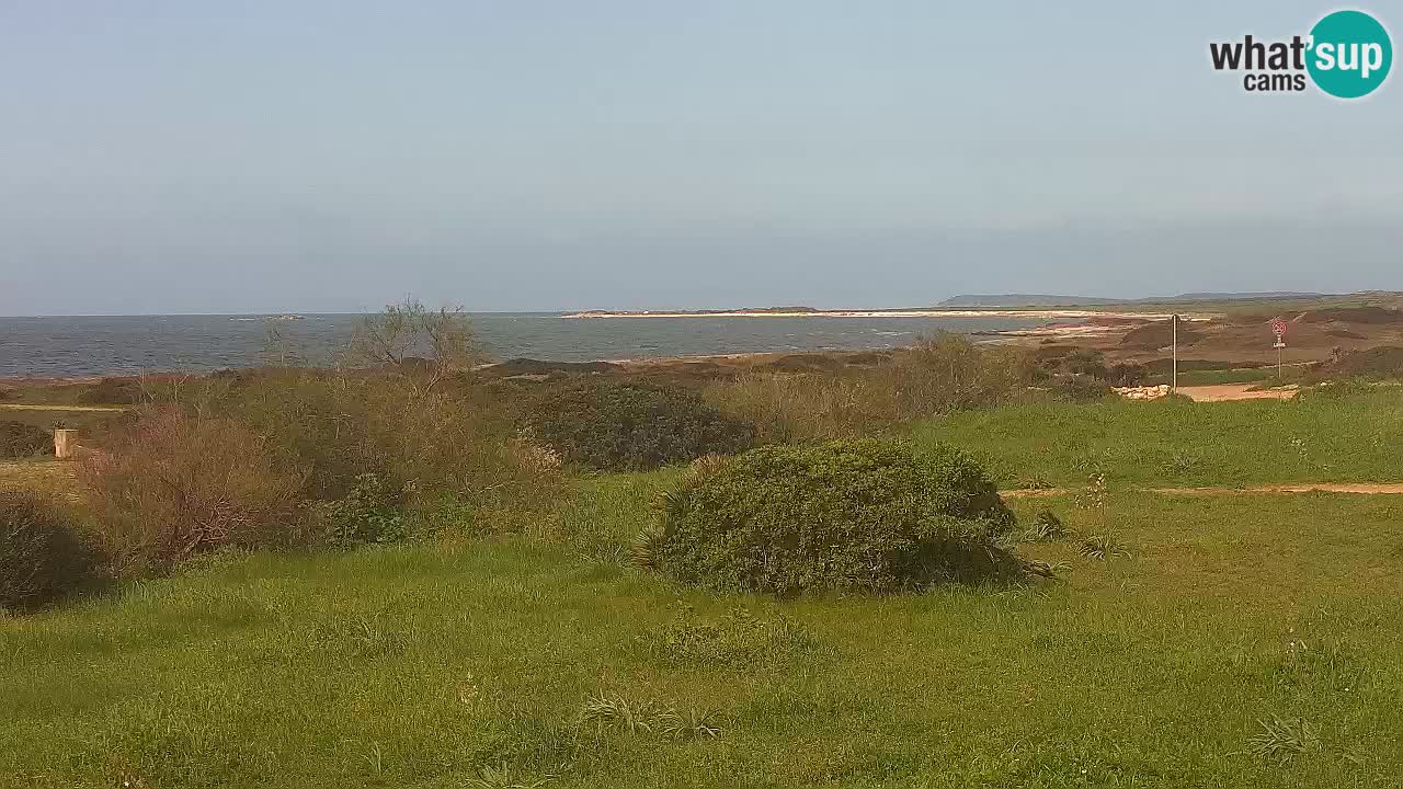 Playa Mari Ermi | Is Arutas – Oristano
