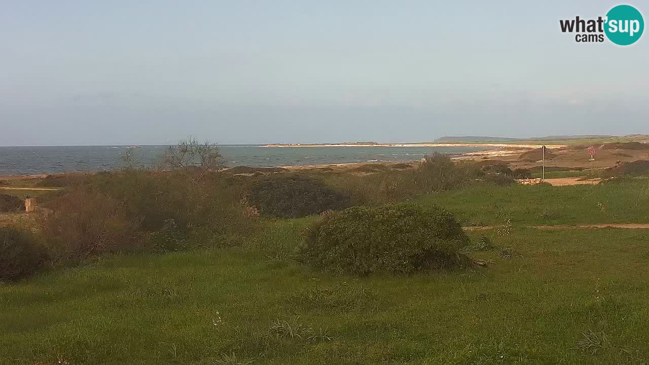 Mari Ermi Strand | Is Arutas – Oristano