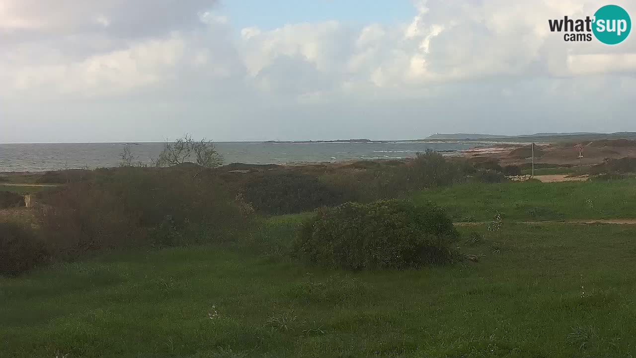 Mari Ermi Strand | Is Arutas – Oristano