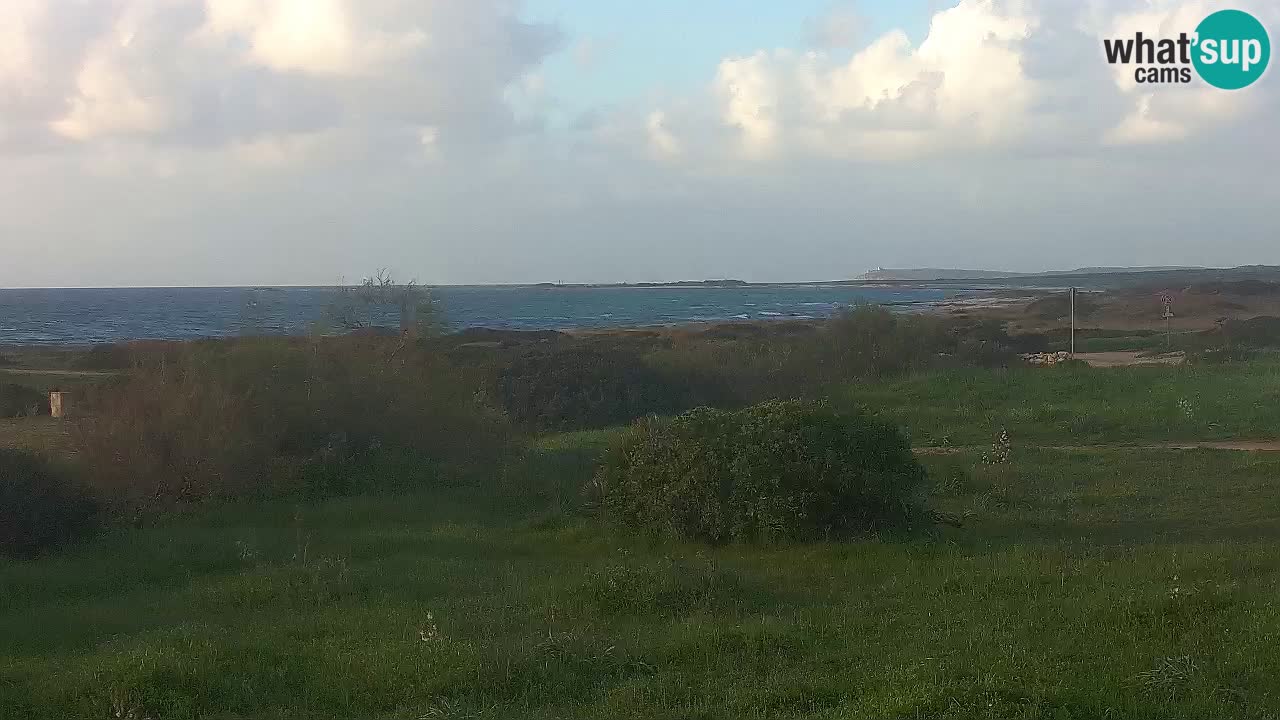 Plage Mari Ermi | Is Arutas – Oristano