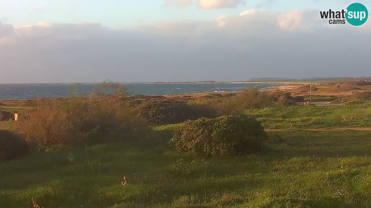 Mari Ermi Strand | Is Arutas – Oristano