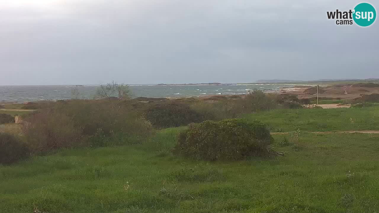 Spiaggia Mari Ermi | Is Arutas – Oristano