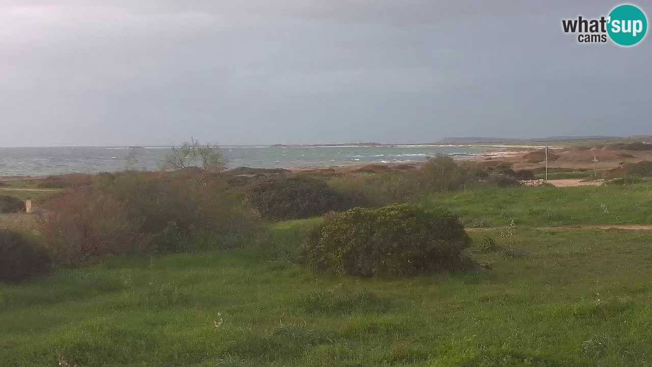 Mari Ermi Strand | Is Arutas – Oristano