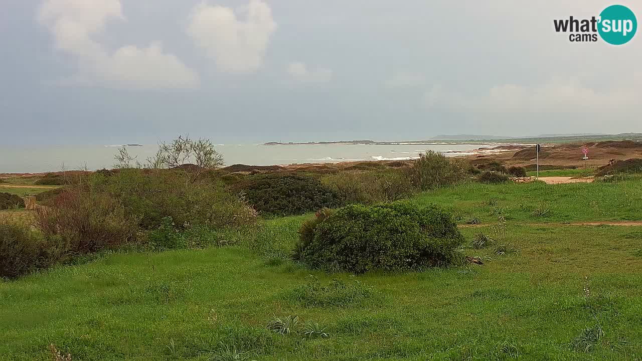 Mari Ermi beach | Is Arutas – Oristano