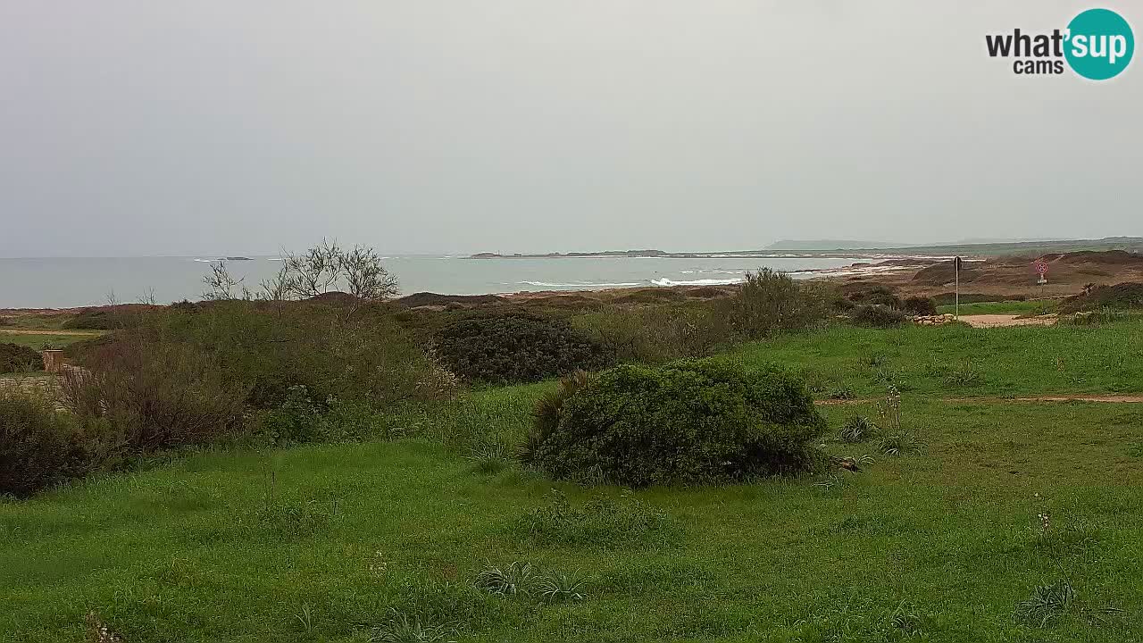 Plage Mari Ermi | Is Arutas – Oristano