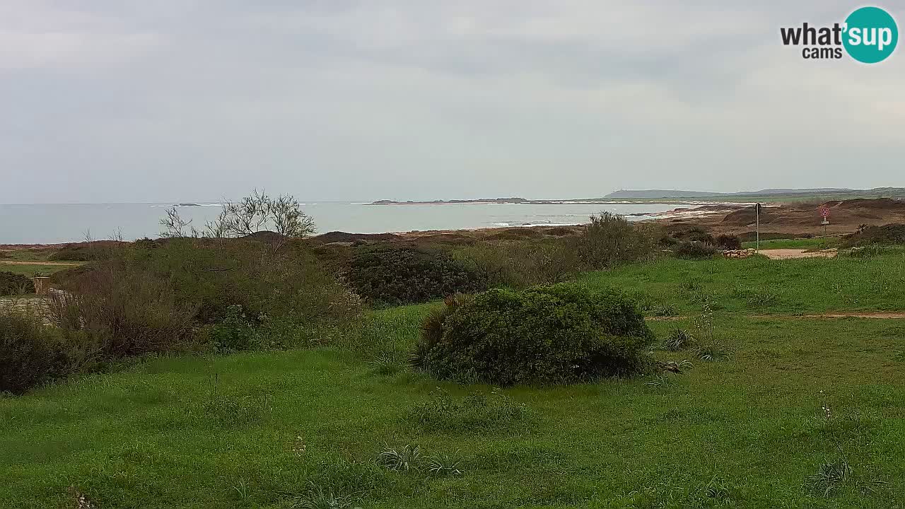 Playa Mari Ermi | Is Arutas – Oristano