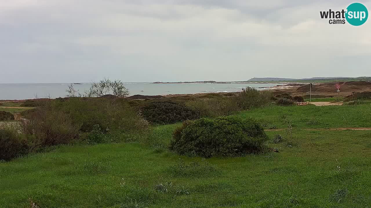 Playa Mari Ermi | Is Arutas – Oristano