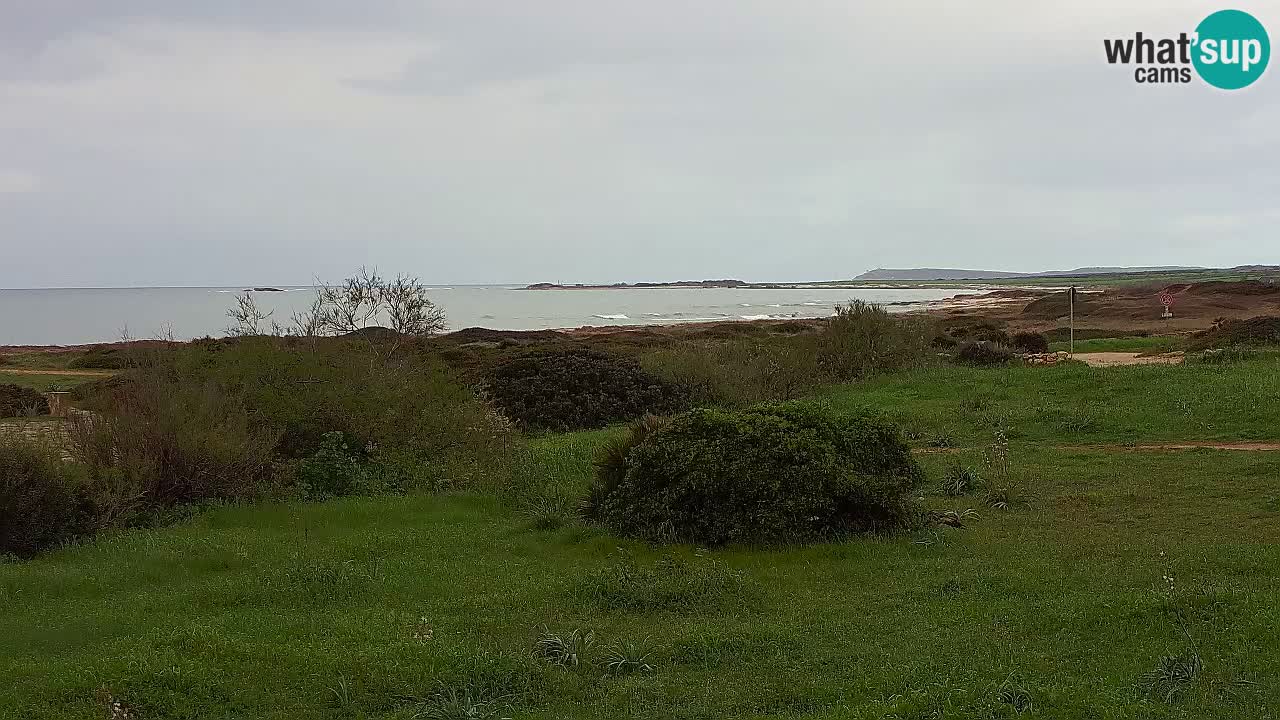 Mari Ermi Strand | Is Arutas – Oristano