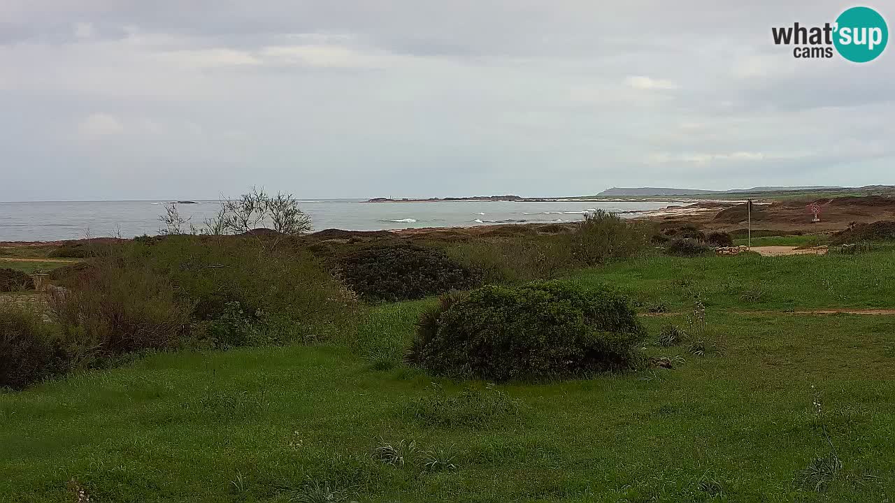Plaža Mari Ermi | Is Arutas – Oristano
