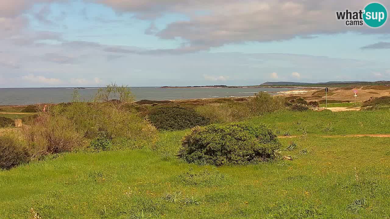 Mari Ermi Strand | Is Arutas – Oristano