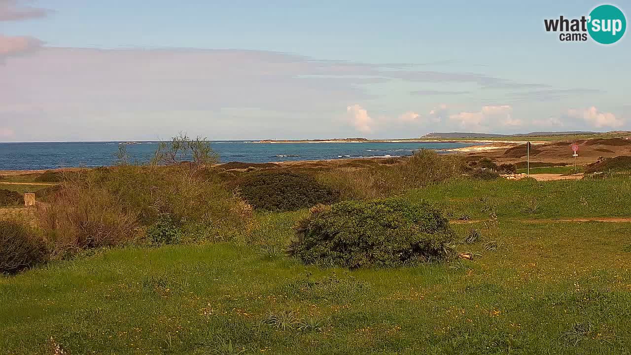 Plaža Mari Ermi | Is Arutas – Oristano