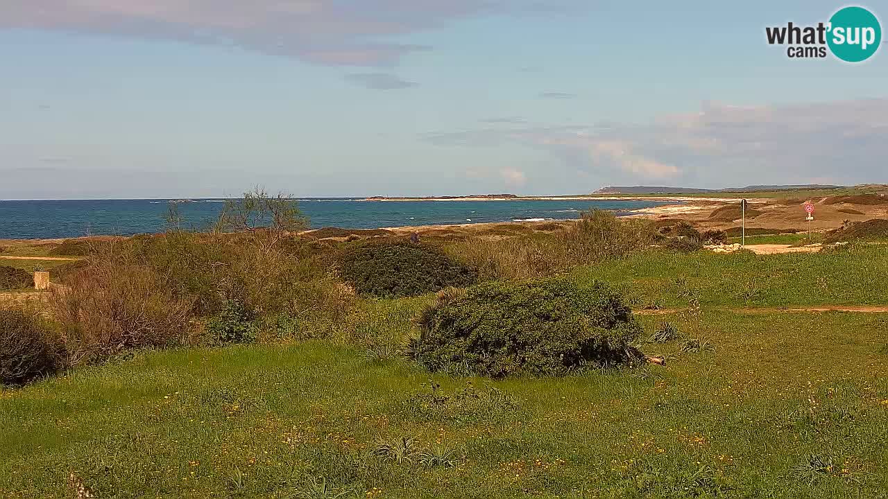 Mari Ermi Strand | Is Arutas – Oristano