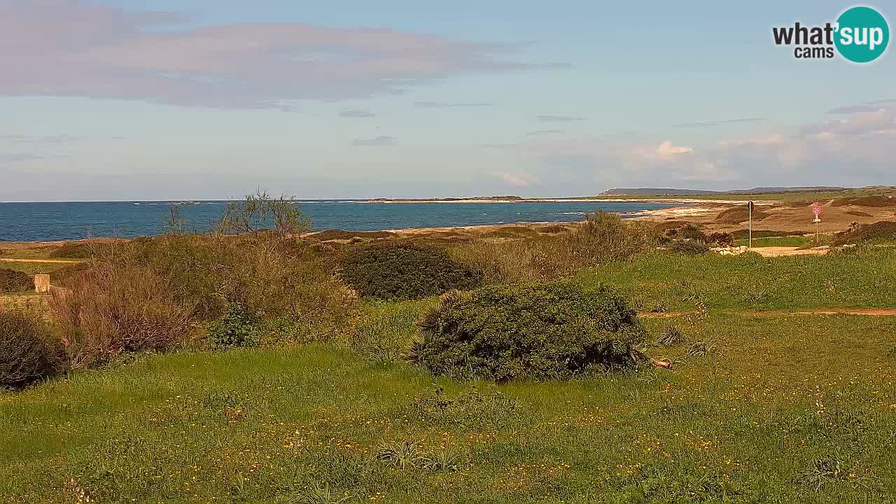 Plage Mari Ermi | Is Arutas – Oristano