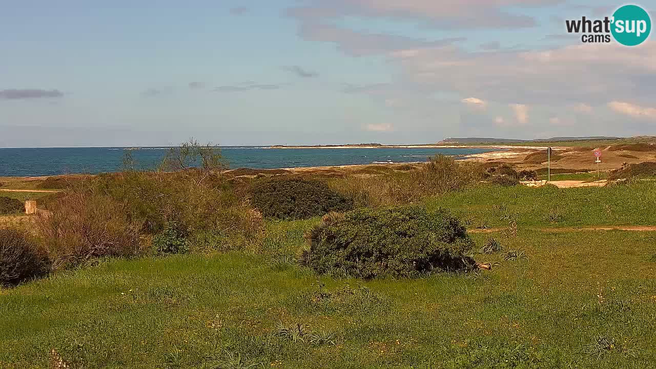 Plaža Mari Ermi | Is Arutas – Oristano