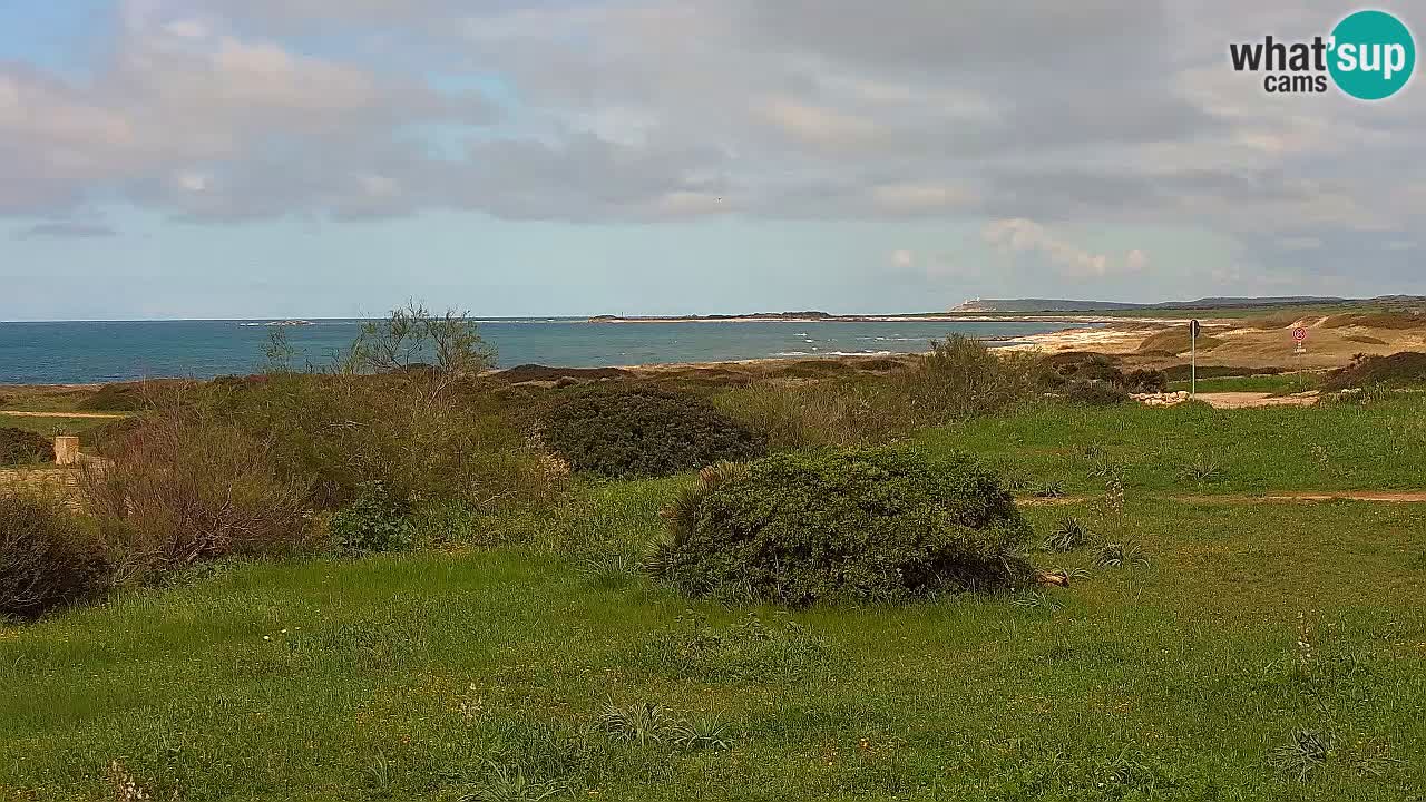 Plaža Mari Ermi | Is Arutas – Oristano
