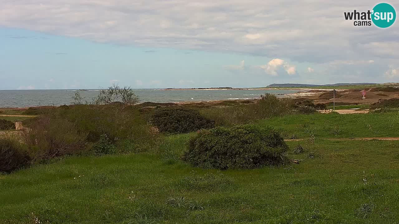 Plage Mari Ermi | Is Arutas – Oristano