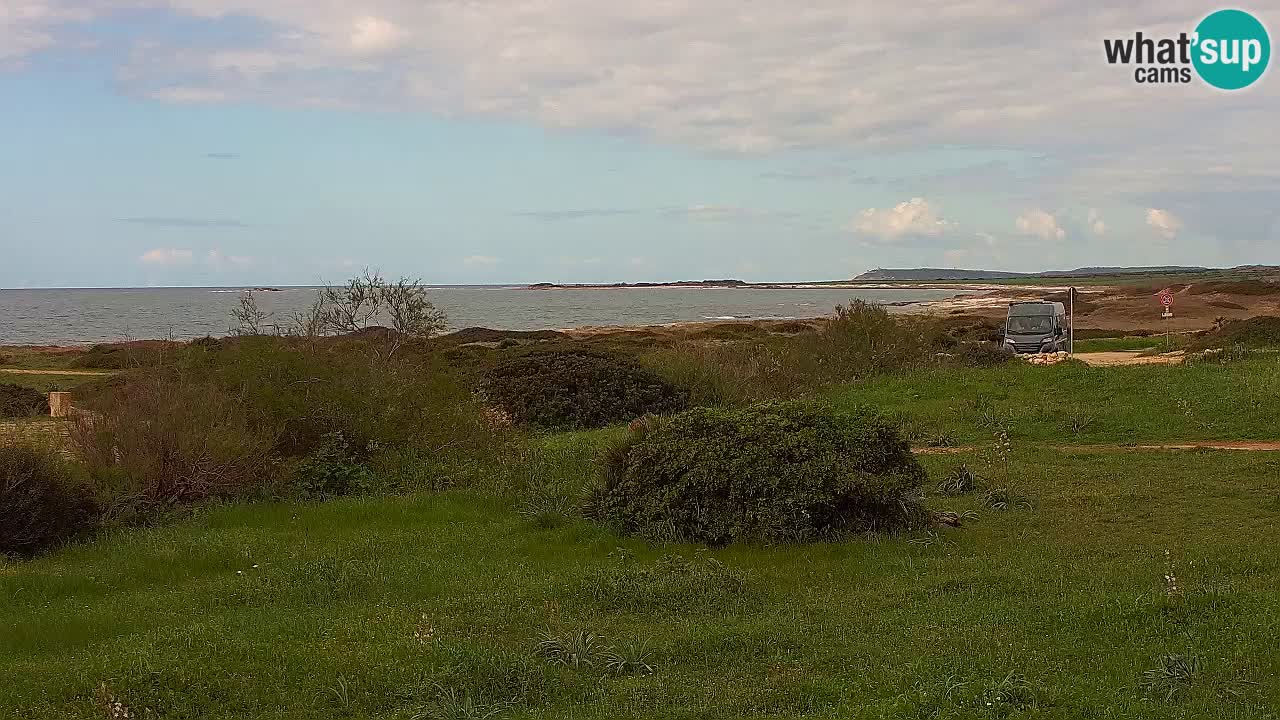 Plage Mari Ermi | Is Arutas – Oristano