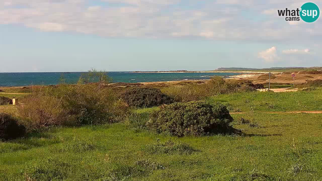 Plaža Mari Ermi | Is Arutas – Oristano