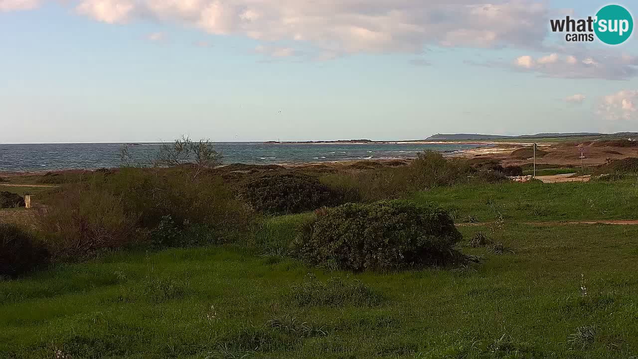 Plaža Mari Ermi | Is Arutas – Oristano