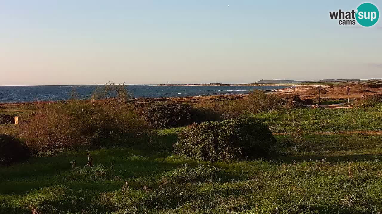 Plage Mari Ermi | Is Arutas – Oristano