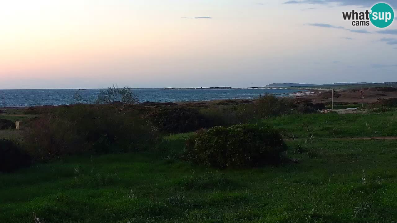 Playa Mari Ermi | Is Arutas – Oristano