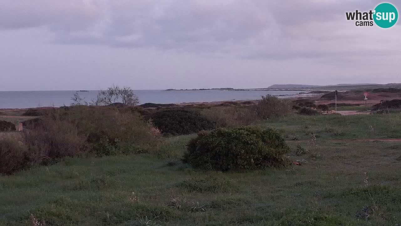 Plaža Mari Ermi | Is Arutas – Oristano