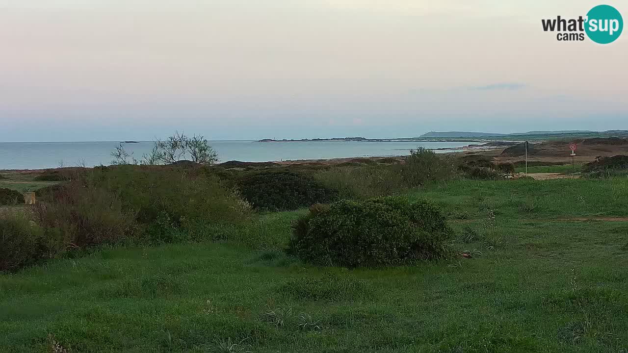 Spiaggia Mari Ermi | Is Arutas – Oristano