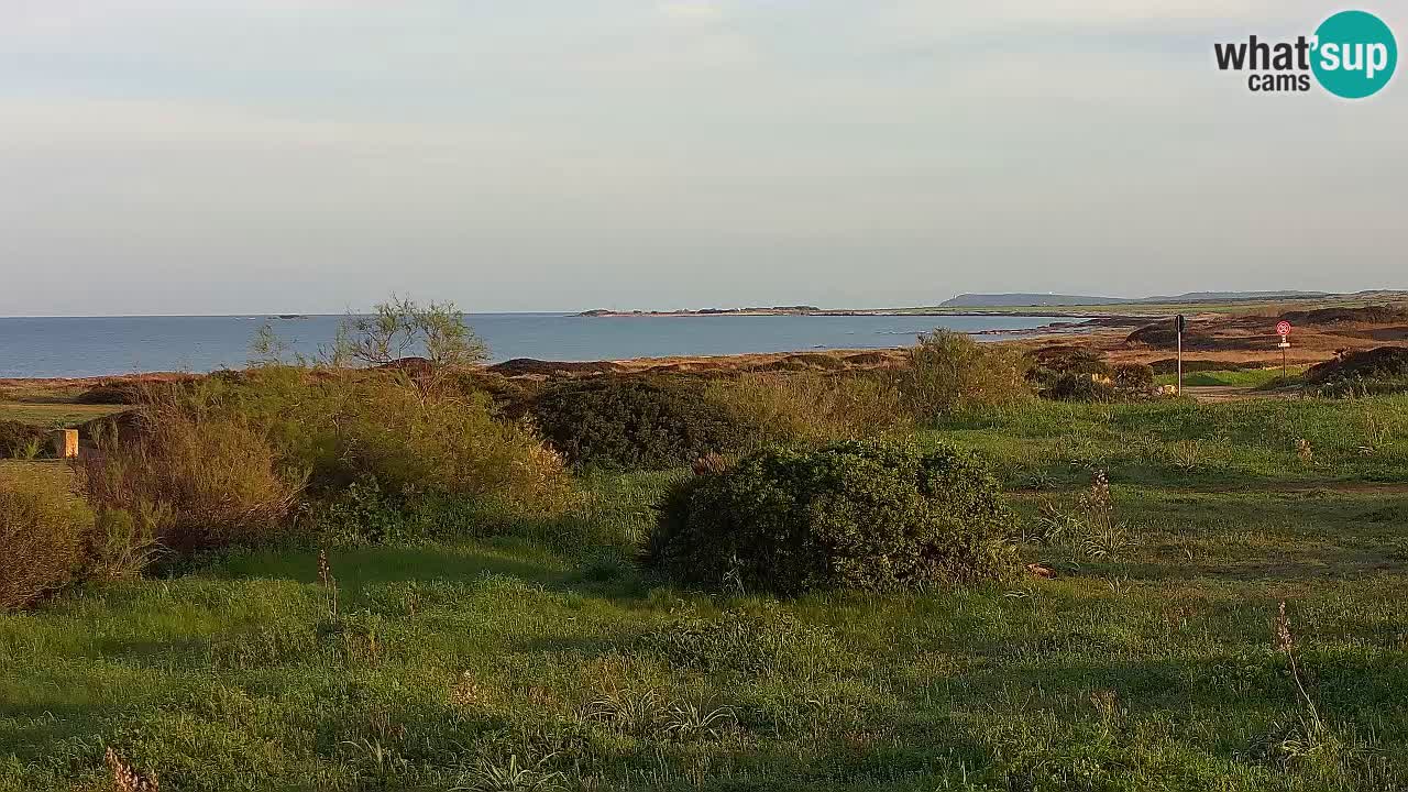 Mari Ermi Strand | Is Arutas – Oristano