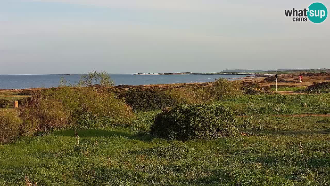 Spiaggia Mari Ermi | Is Arutas – Oristano
