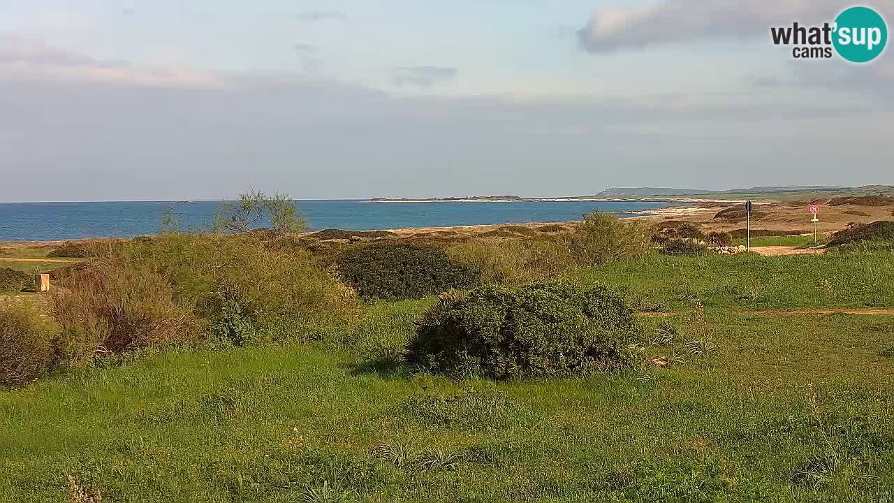 Playa Mari Ermi | Is Arutas – Oristano