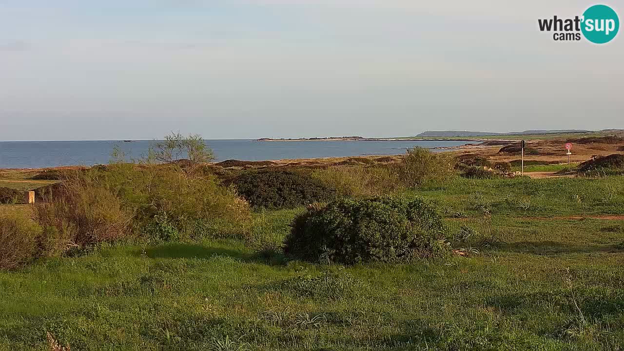 Plage Mari Ermi | Is Arutas – Oristano