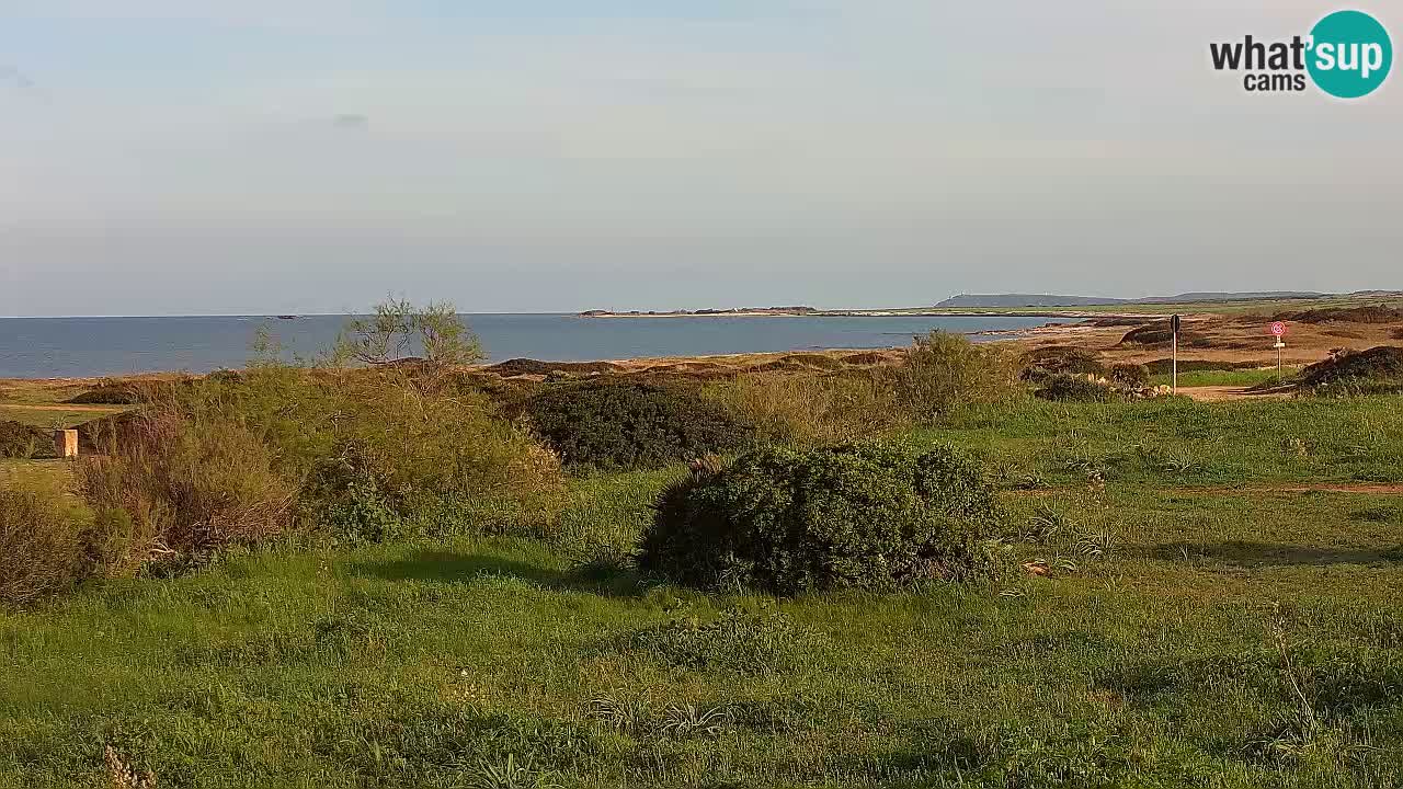 Mari Ermi beach | Is Arutas – Oristano