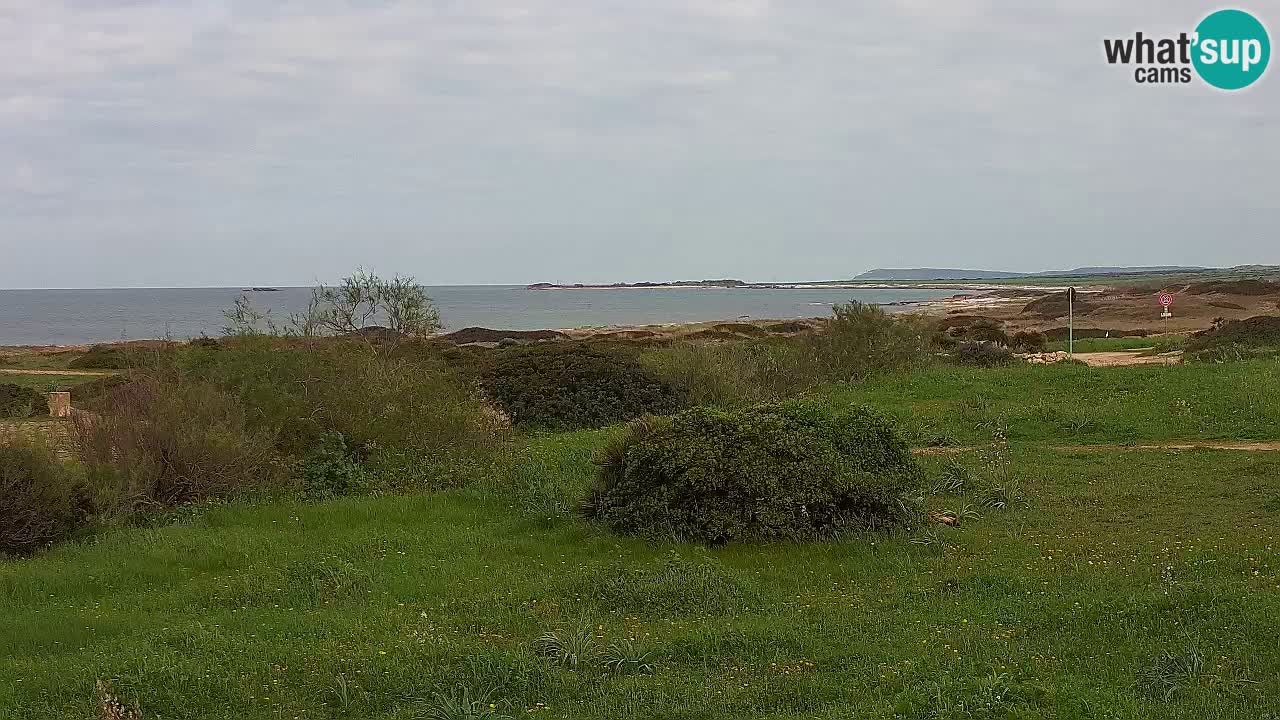 Plaža Mari Ermi | Is Arutas – Oristano